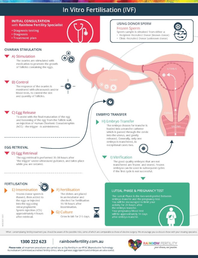 IVF infographic | Rainbow Fertility