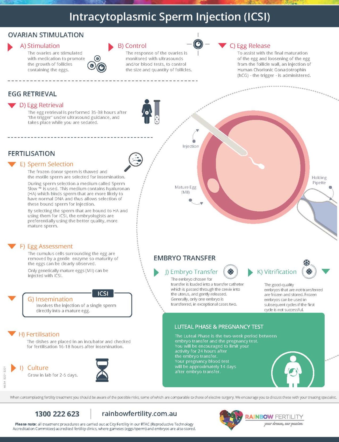 icsi-infographic-rainbow-fertility