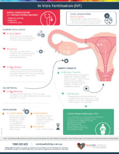 ML53 Rainbow Fertility IVF In Vitro Fertilisation Infographic | Rainbow ...