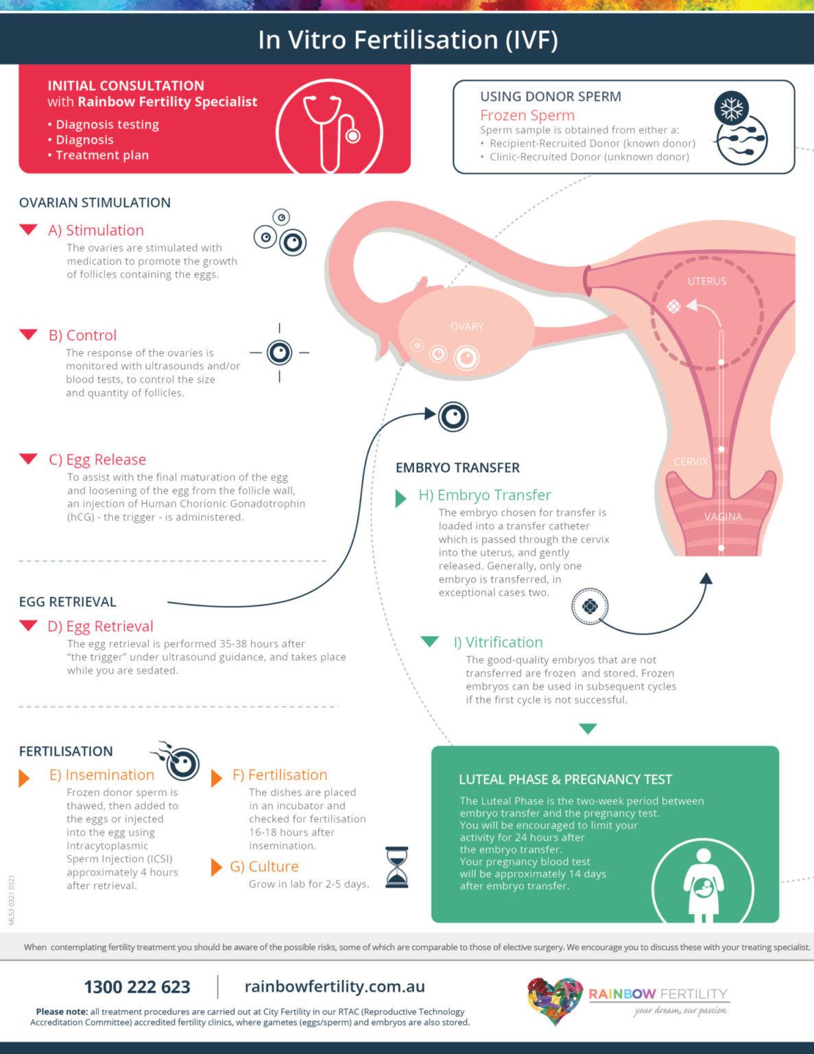 ML53 Rainbow Fertility IVF In Vitro Fertilisation Infographic1 ...