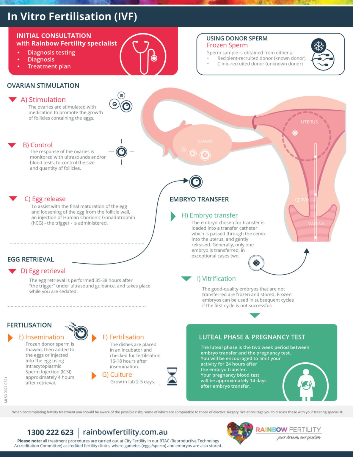 ML53 Rainbow Fertility IVF In Vitro Fertilisation Infographic | Rainbow ...