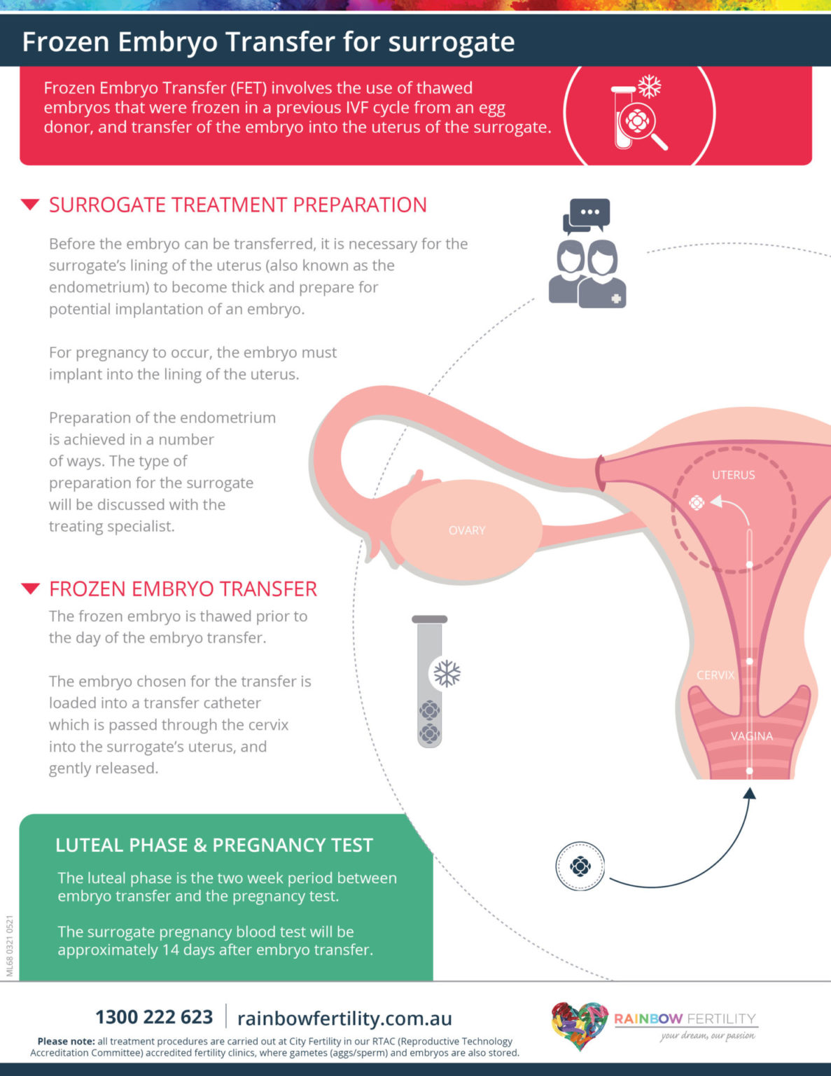 Frozen Embryo Transfer for Surrogate | Rainbow Fertility